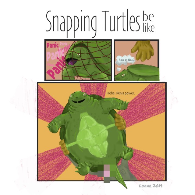 Comic about snapping turtles