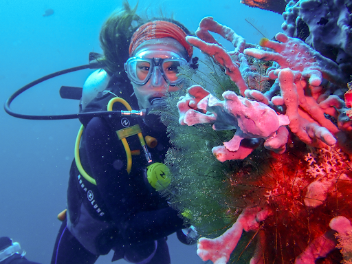 girl and coral while diving