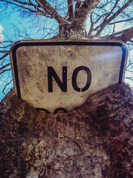 Sign saying  no in tree
