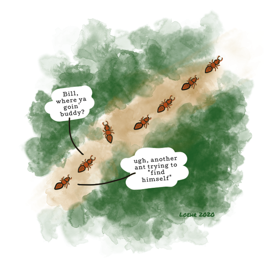 cartoon of ants walking