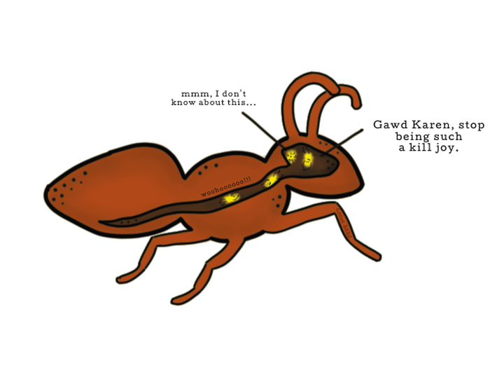 cartoon of spores entering ant