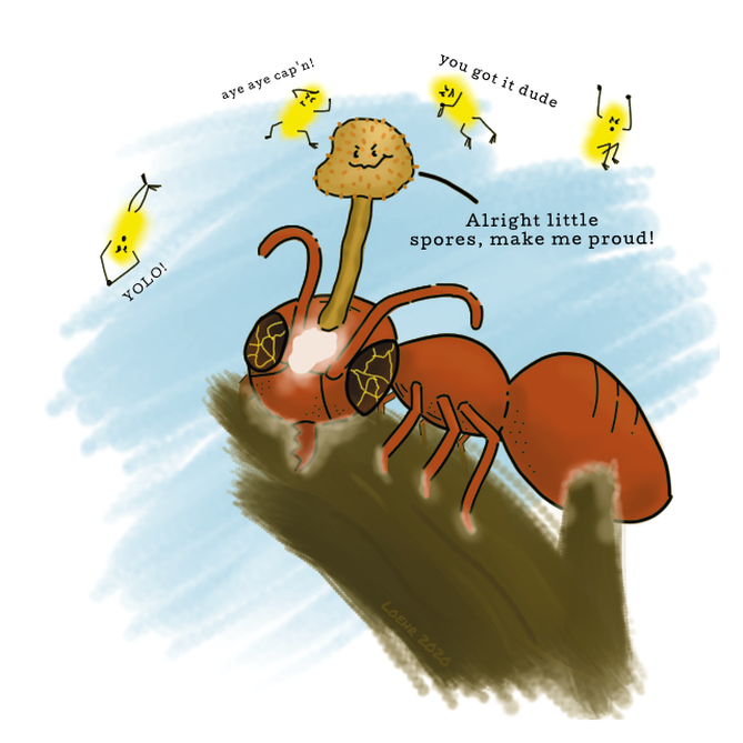 cartoon of ant with fungus inside
